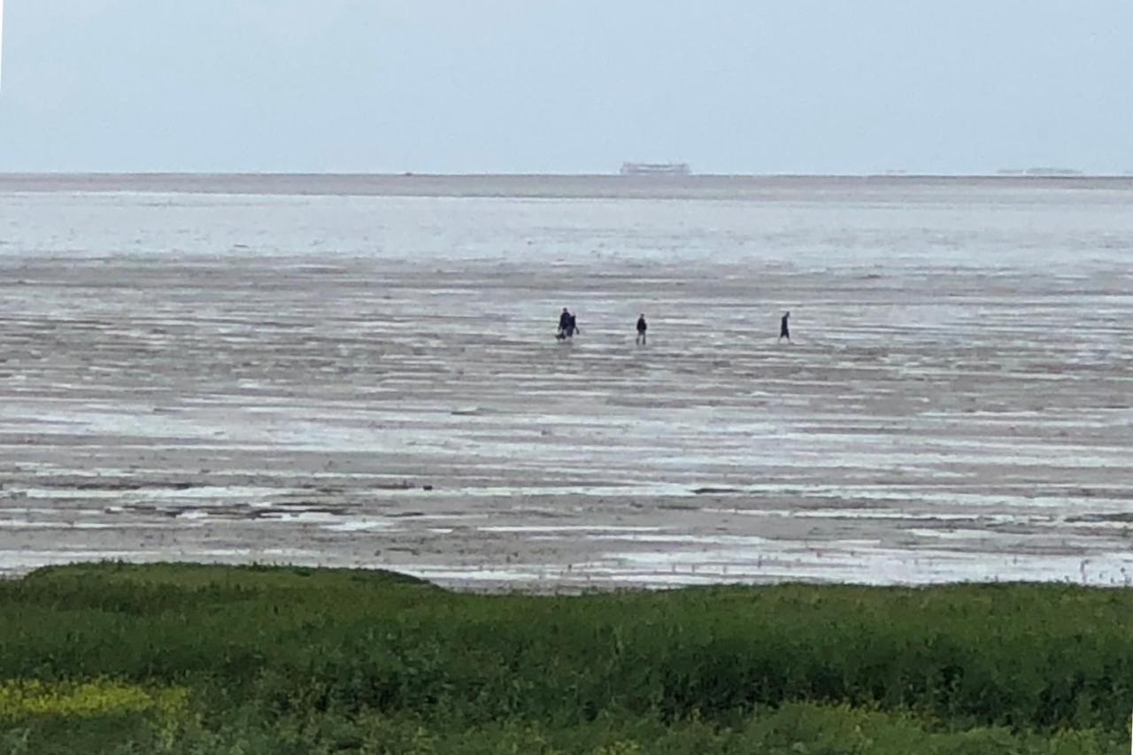 Het Huis Van De Wadden Den Oever Exterior foto