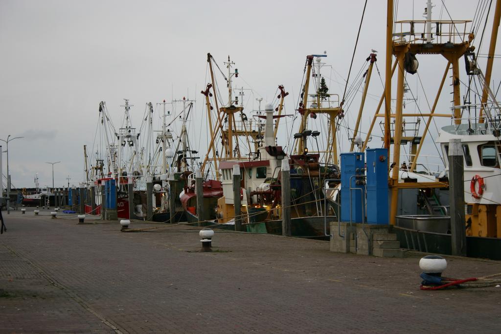Het Huis Van De Wadden Den Oever Exterior foto